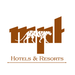 Company Logo 6